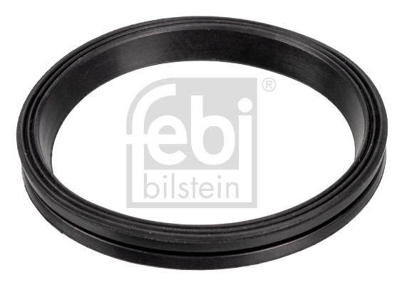 Gasket, timing case cover